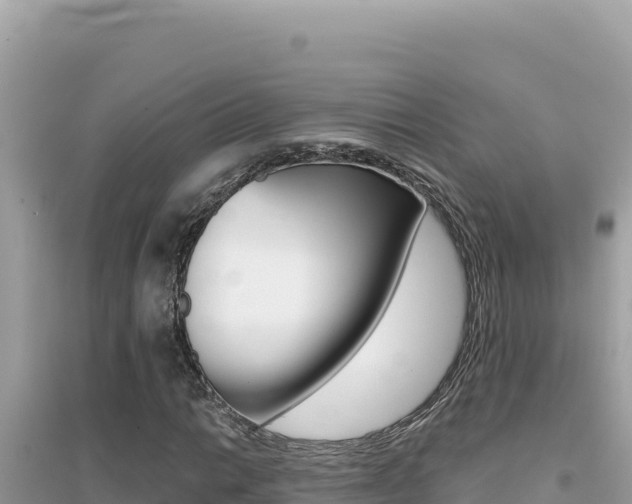X0000095131014200712071002