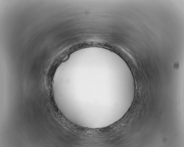 X0000095131015200712071002