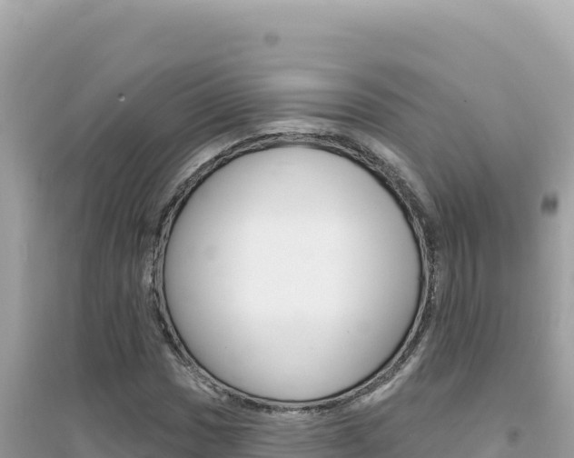 X0000095131017200712071002