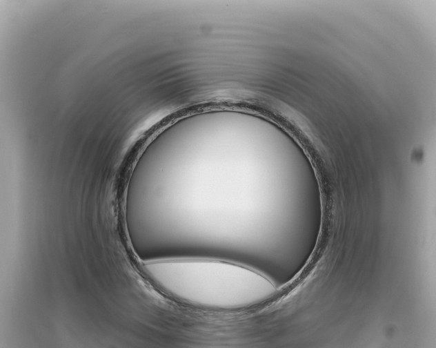 X0000095131018200712071002