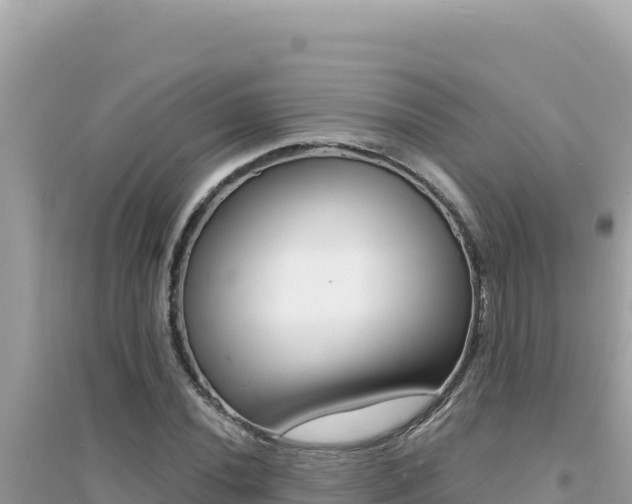 X0000095131020200712071002
