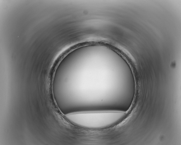 X0000095131021200712071002