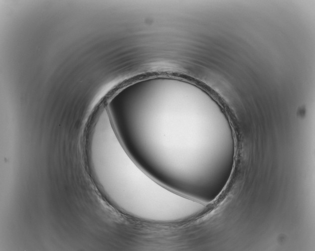 X0000095131022200712071002