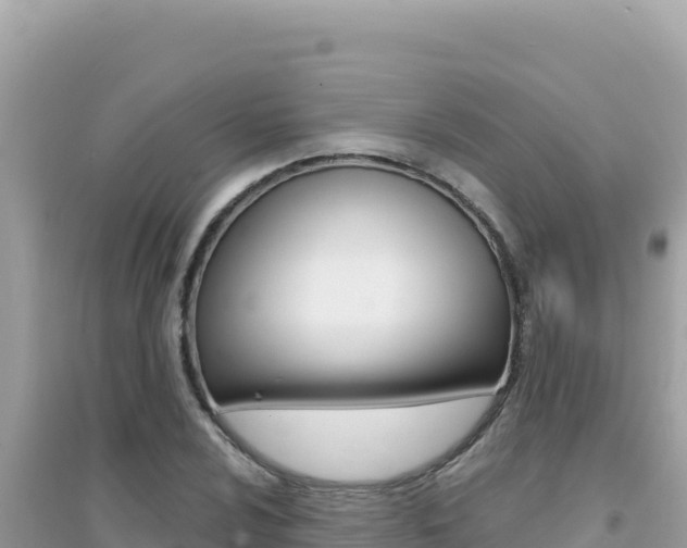 X0000095131024200712071002
