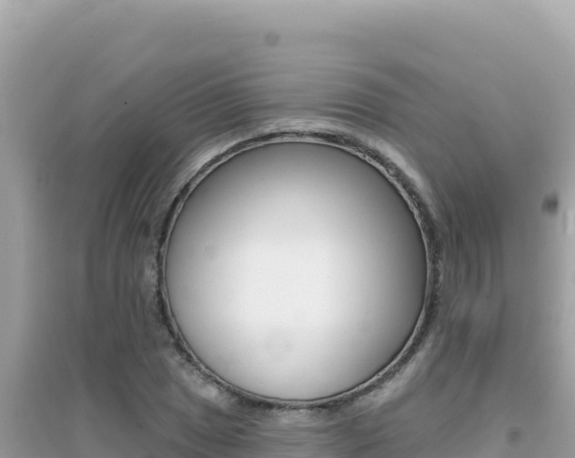 X0000095131025200712071002