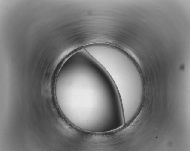 X0000095131026200712071002