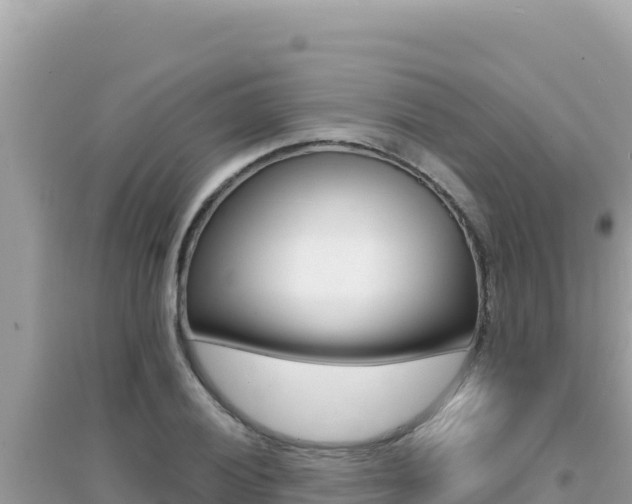 X0000095131028200712071002