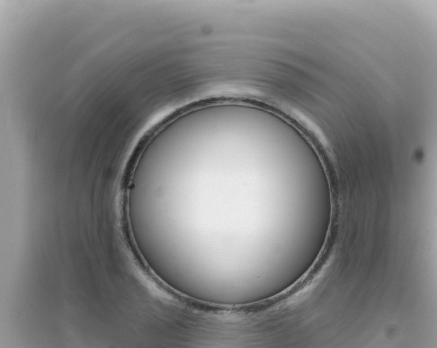 X0000095131029200712071002