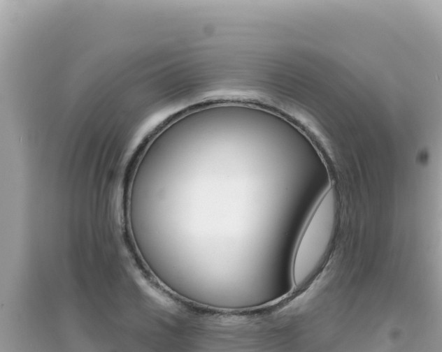 X0000095131030200712071003