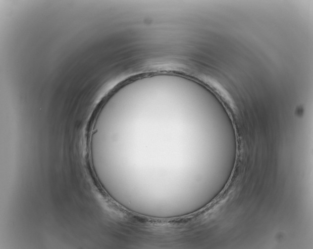 X0000095131031200712071003