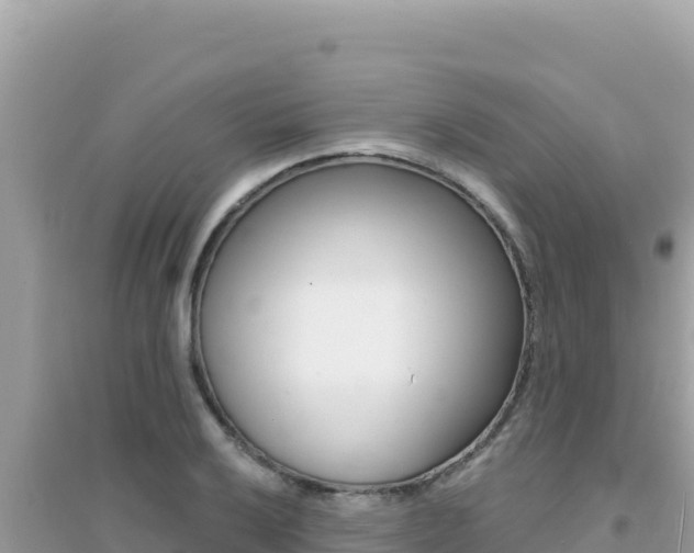 X0000095131032200712071003