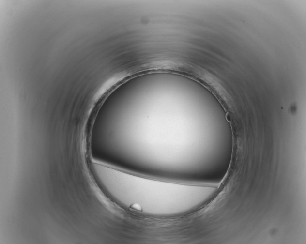 X0000095131034200712071003
