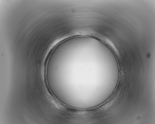 X0000095131035200712071003