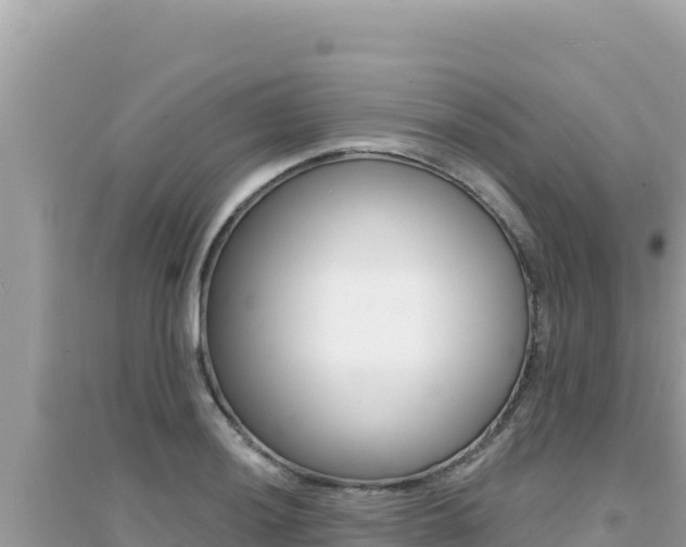 X0000095131036200712071003
