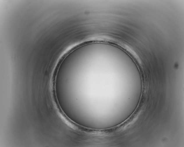 X0000095131037200712071003
