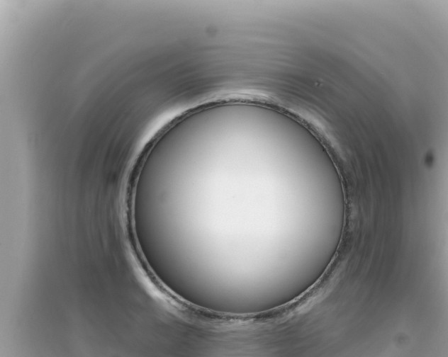X0000095131038200712071003