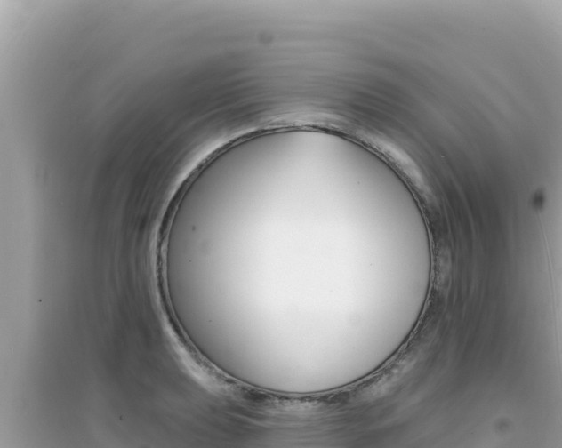 X0000095131039200712071003