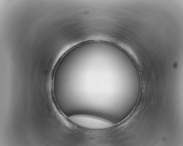 X0000095131040200712071003