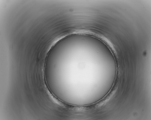 X0000095131041200712071003