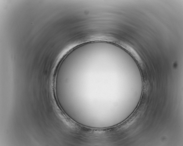 X0000095131043200712071003