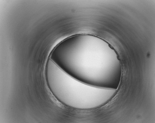X0000095131044200712071003