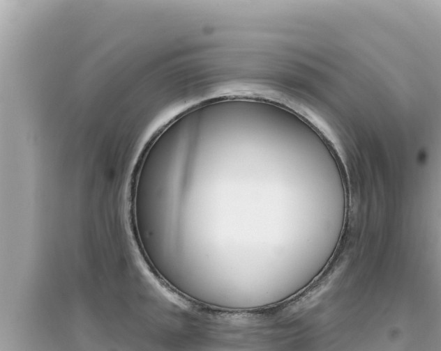 X0000095131045200712071003