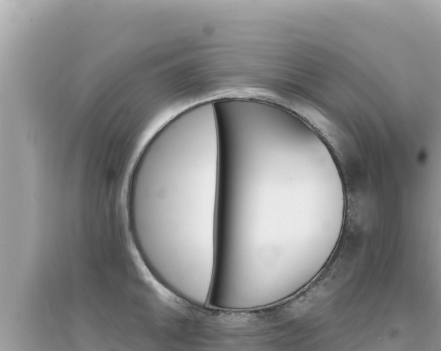 X0000095131046200712071003