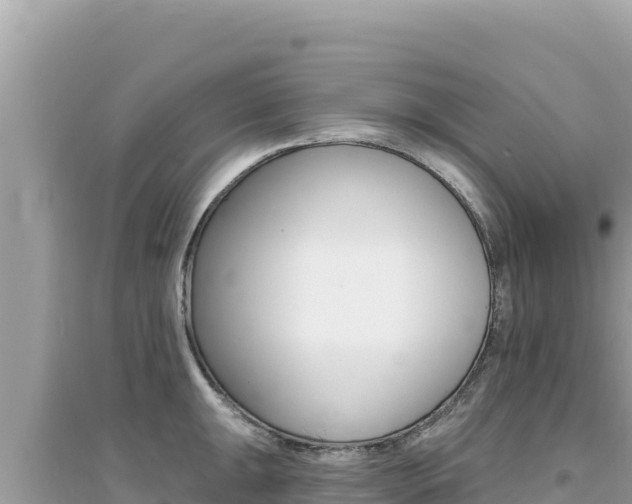 X0000095131047200712071003