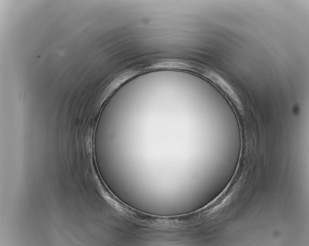 X0000095131049200712071003