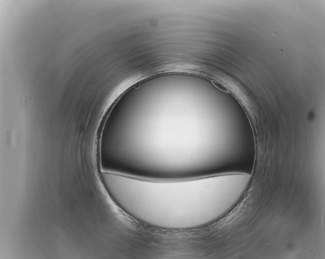 X0000095131050200712071003