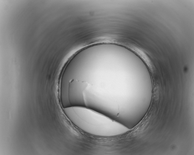 X0000095131051200712071003