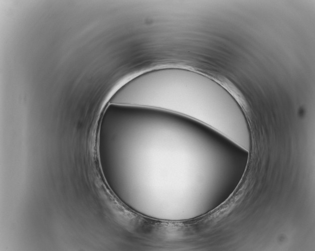 X0000095131052200712071003