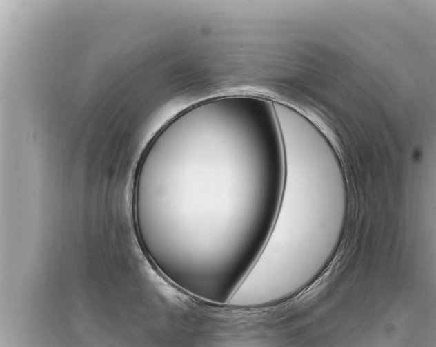 X0000095131054200712071003