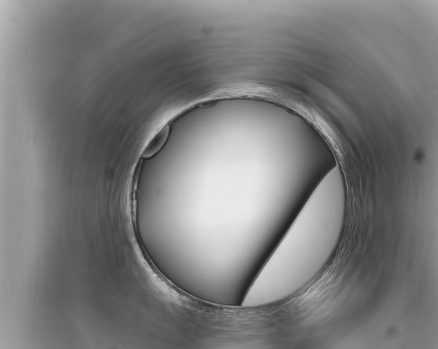 X0000095131055200712071003