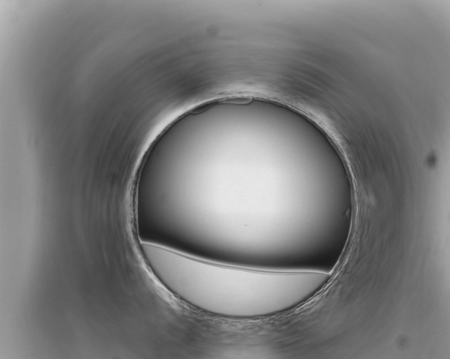 X0000095131056200712071003