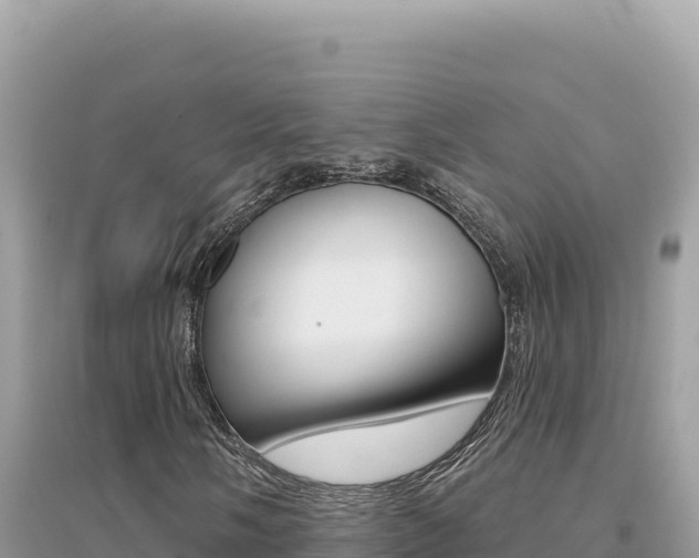X0000095131058200712071002