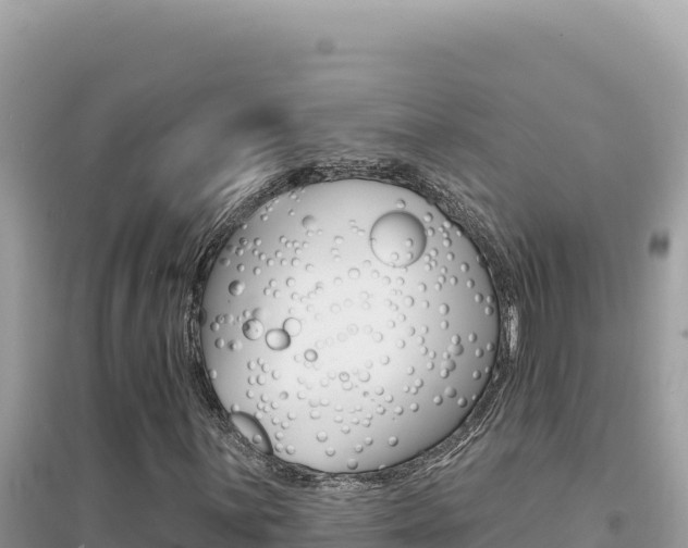 X0000095131059200712071002