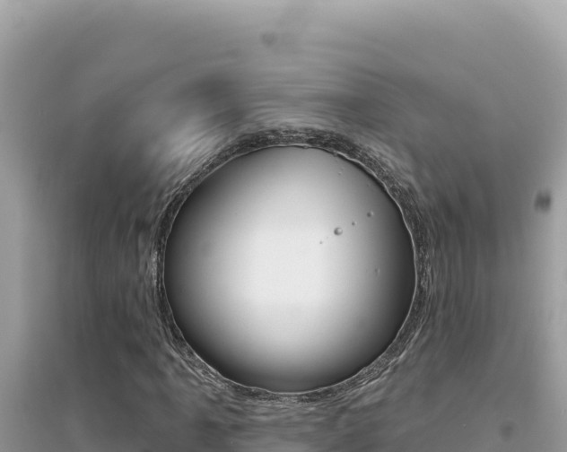 X0000095131061200712071002