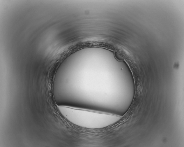 X0000095131062200712071002