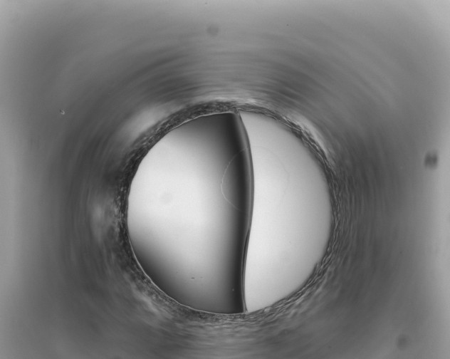 X0000095131064200712071002
