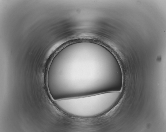 X0000095131066200712071002