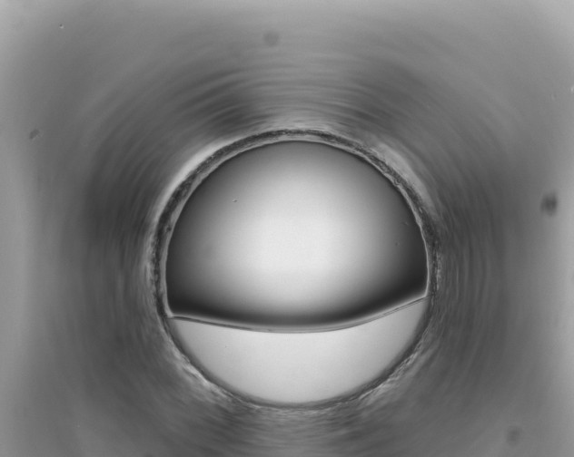 X0000095131068200712071002