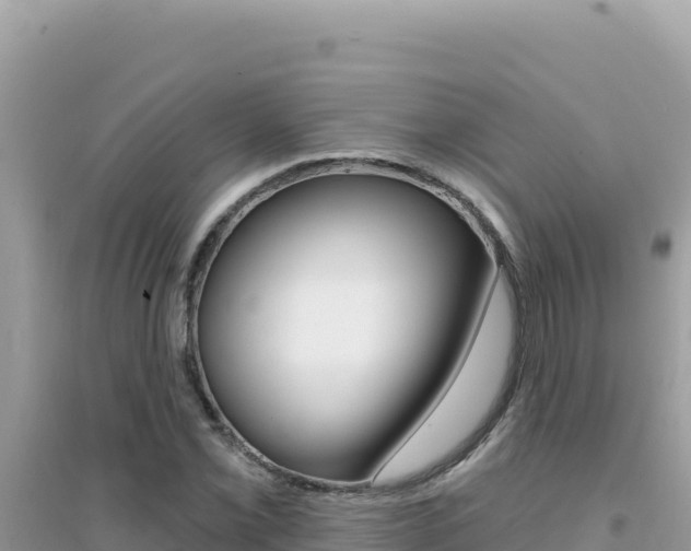 X0000095131069200712071002