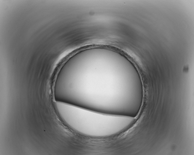 X0000095131070200712071002