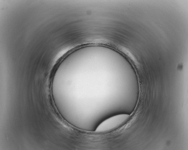 X0000095131071200712071002