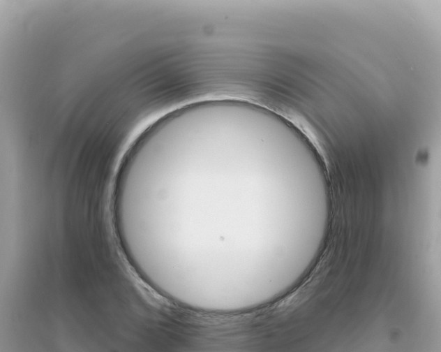 X0000095131072200712071002