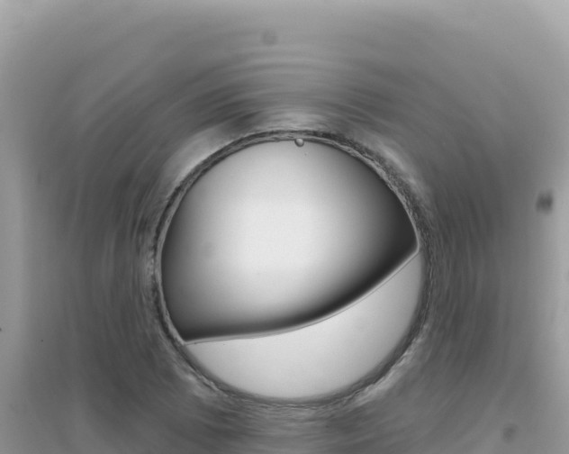 X0000095131073200712071002