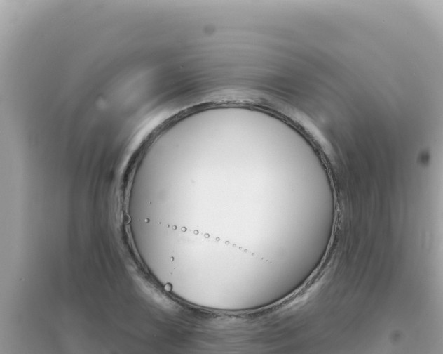 X0000095131075200712071002