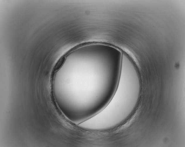 X0000095131077200712071002