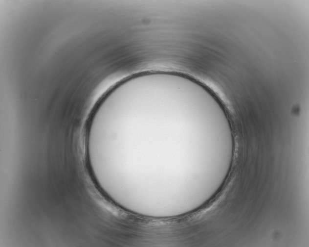 X0000095131078200712071002